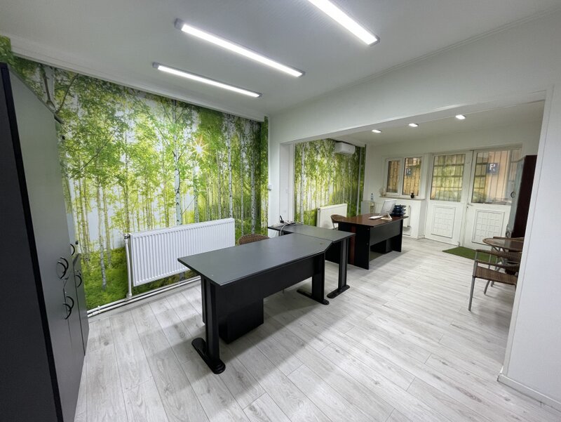 Calea Calarasilor, Popa Nan, spatiu comercial, birou, productie, cabinet, distributie, cafenea